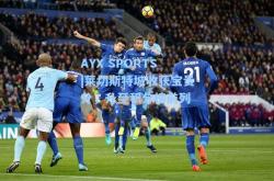 AYX SPORTS|莱切斯特城收获宝贵分，升至积分榜前列