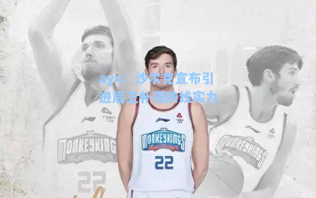 沙尔克宣布引进后卫补强防线实力