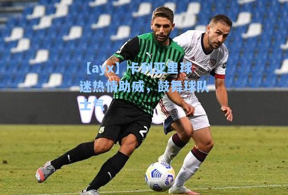 卡利亚里球迷热情助威，鼓舞球队士气