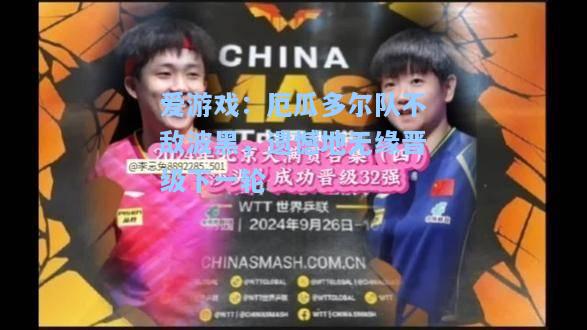 厄瓜多尔队不敌波黑，遗憾地无缘晋级下一轮