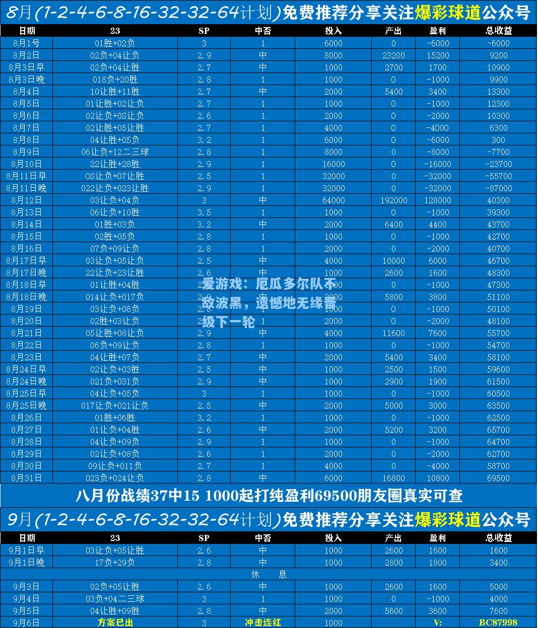 厄瓜多尔队不敌波黑，遗憾地无缘晋级下一轮