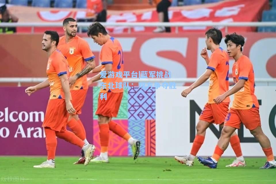 蓝军挑战东北球队：双方争夺胜利
