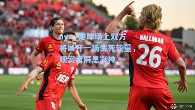 足球场上双方将展开一场生死较量，观赏者屏息凝神