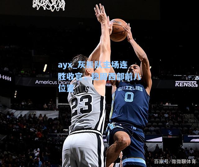 灰熊队主场连胜收官，稳固西部前八位置
