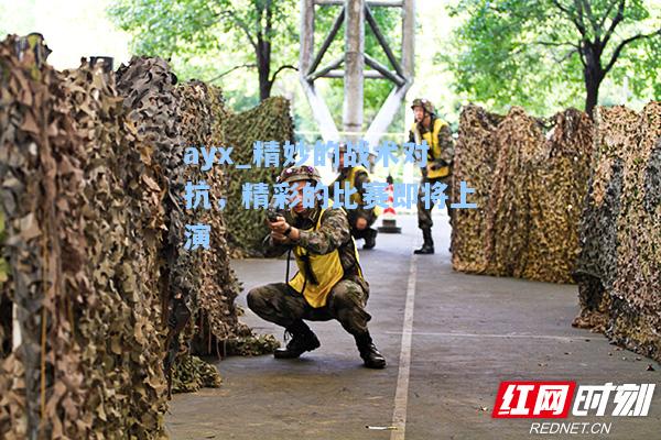 精妙的战术对抗，精彩的比赛即将上演