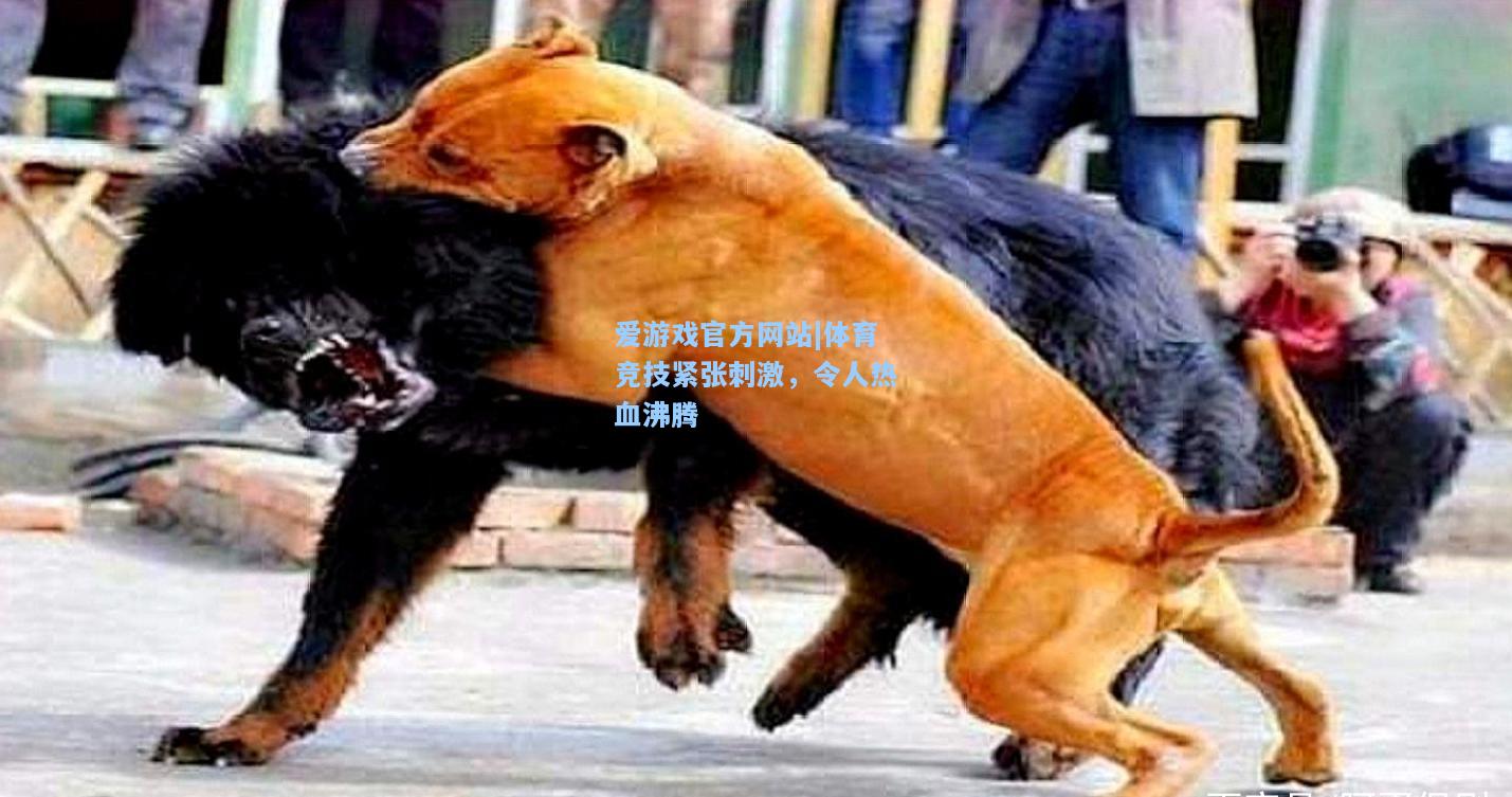 体育竞技紧张刺激，令人热血沸腾