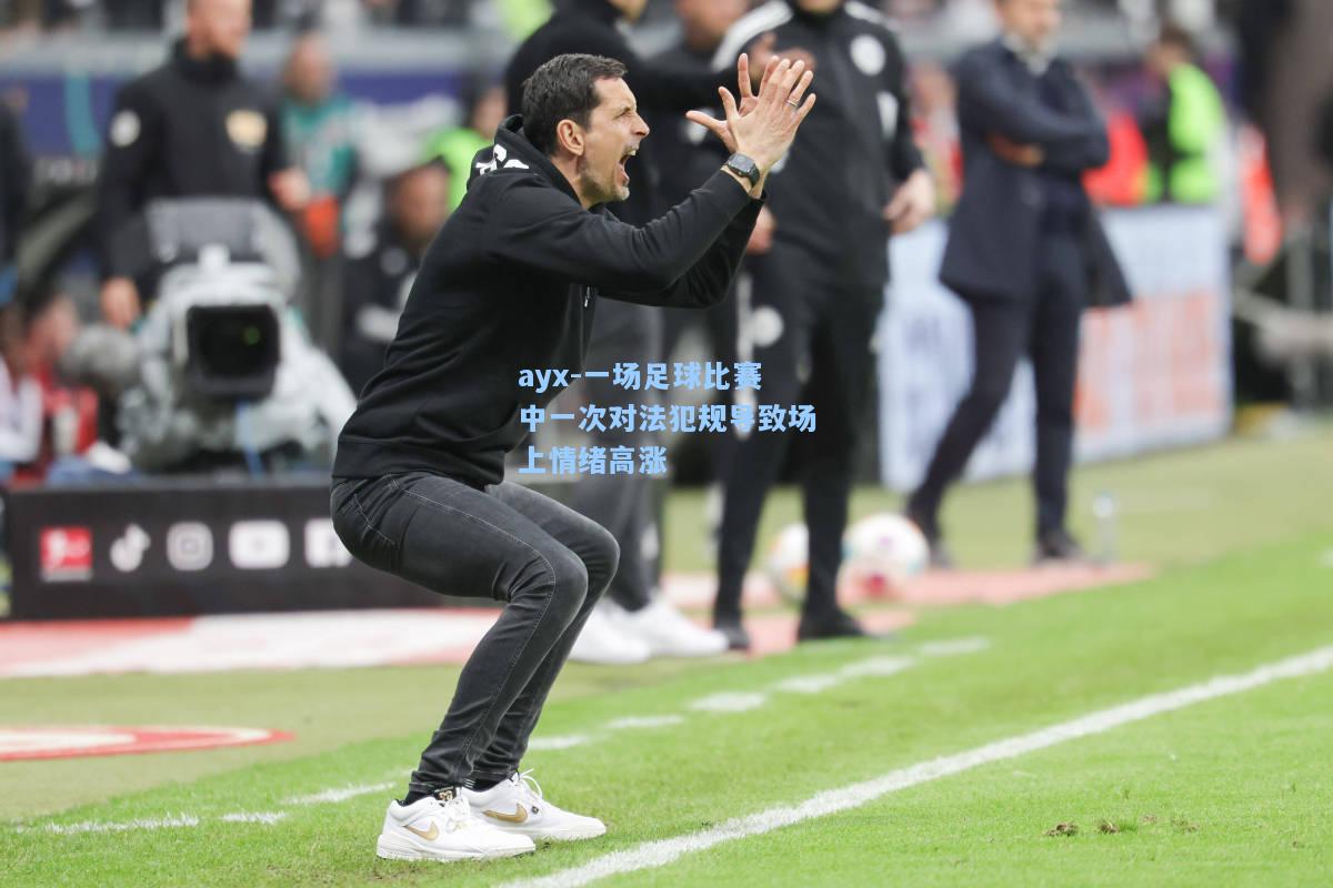 一场足球比赛中一次对法犯规导致场上情绪高涨