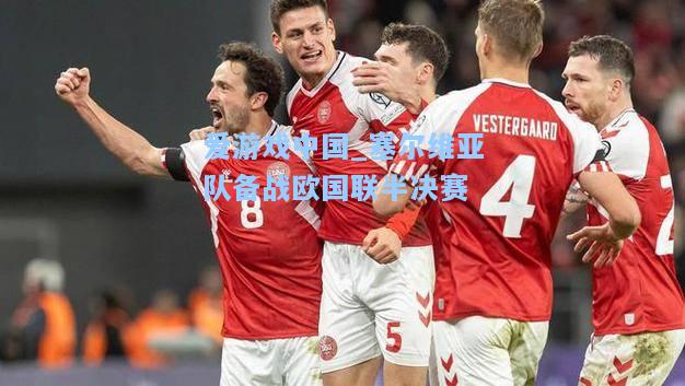 塞尔维亚队备战欧国联半决赛