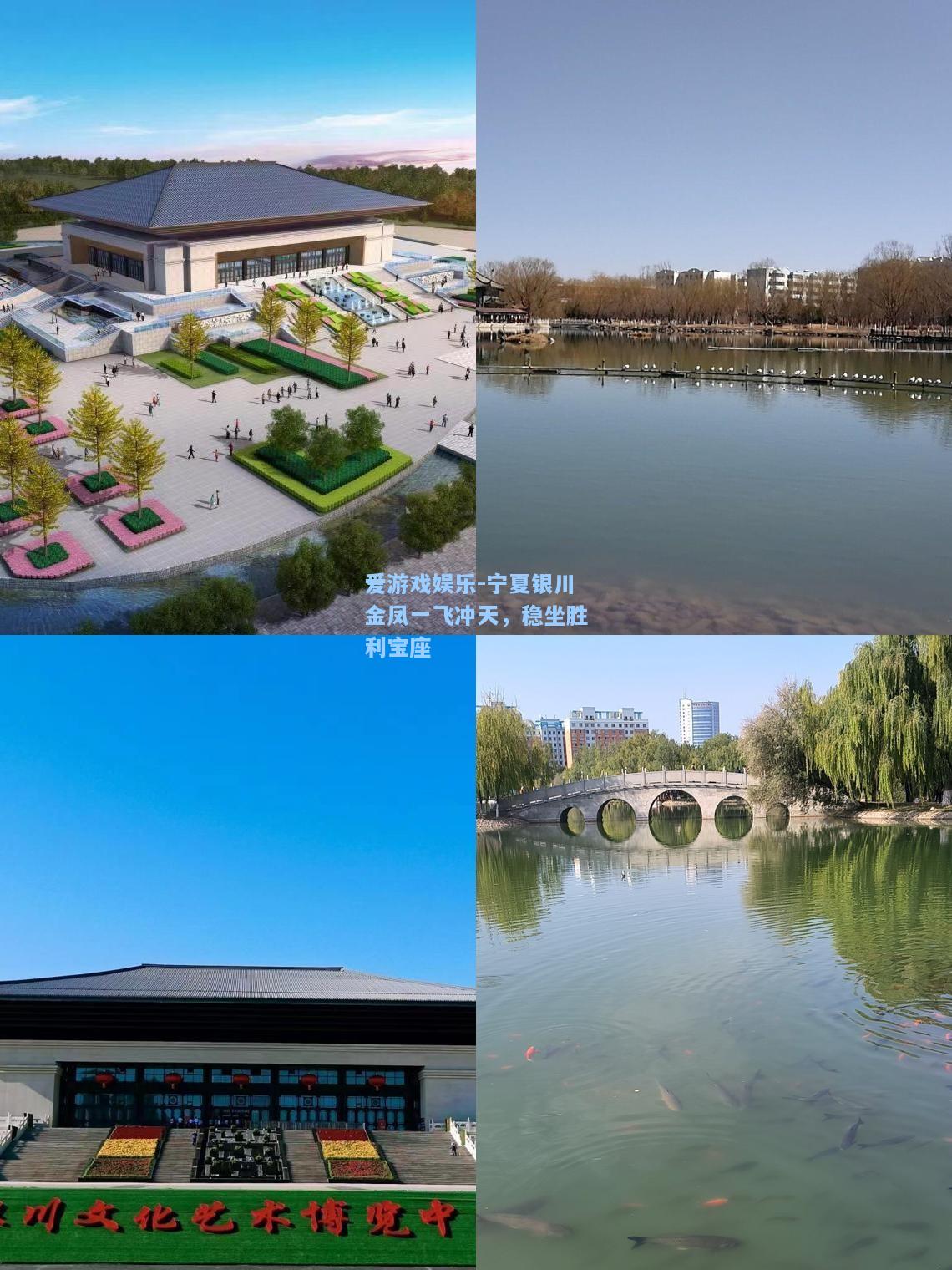 宁夏银川金凤一飞冲天，稳坐胜利宝座